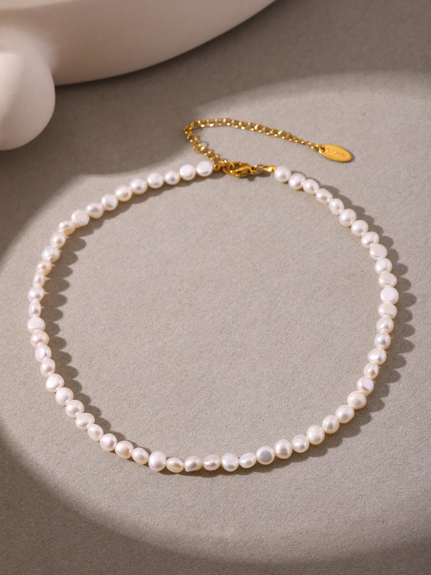 Luxury Stainless Steel Shell Pendant Necklace